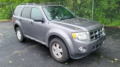 2009 Ford Escape XLT