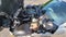 2007 Pontiac Solstice Base